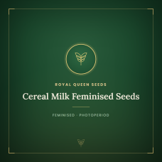 Cereal Milk Feminised Seeds Cereal Milk Feminised Seeds
