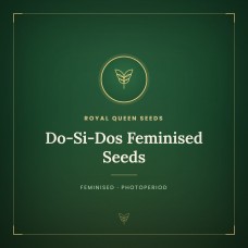 Do-Si-Dos Feminised Seeds