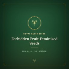 Forbidden Fruit Feminised Seeds