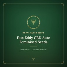 Fast Eddy CBD Auto Feminised Seeds