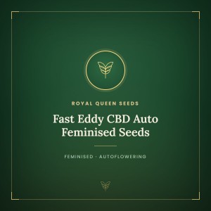 Fast Eddy CBD Auto Feminised Seeds