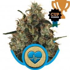 Medical Mass CBD Feminised Seeds Medical Mass CBD Feminised Seeds
