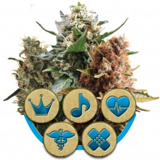 Medical Mix CBD Feminised Seeds Medical Mix CBD Feminised Seeds