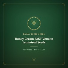 Honey Cream FAST Version Feminised Seeds