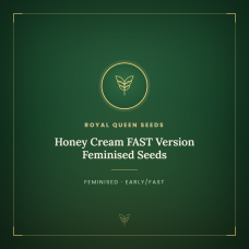 Honey Cream FAST Version Feminised Seeds Honey Cream FAST Version Feminised Seeds