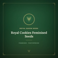 Royal Cookies Feminised Seeds Royal Cookies Feminised Seeds