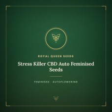 Stress Killer CBD Auto Feminised Seeds Stress Killer CBD Auto Feminised Seeds