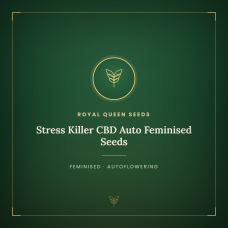 Stress Killer CBD Auto Feminised Seeds Stress Killer CBD Auto Feminised Seeds