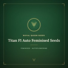 Titan F1 Auto Feminised Seeds Titan F1 Auto Feminised Seeds