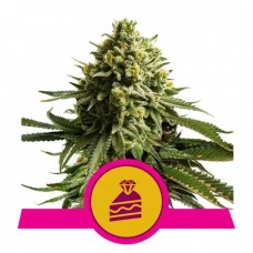 Wedding Cake Feminised Seeds Wedding Cake Feminised Seeds