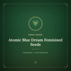Atomic Blue Dream Feminised Seeds Atomic Blue Dream Feminised Seeds