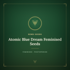 Atomic Blue Dream Feminised Seeds Atomic Blue Dream Feminised Seeds