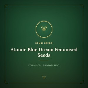 Atomic Blue Dream Feminised Seeds Atomic Blue Dream Feminised Seeds