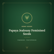 Papaya Jealousy Feminised Seeds Papaya Jealousy Feminised Seeds