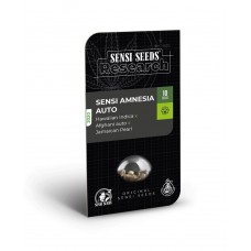 Sensi Amnesia Auto Feminised Seeds Sensi Amnesia Auto Feminised Seeds