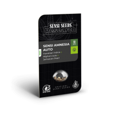 Sensi Amnesia Auto Feminised Seeds Sensi Amnesia Auto Feminised Seeds