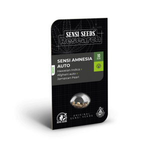 Sensi Amnesia Auto Feminised Seeds Sensi Amnesia Auto Feminised Seeds