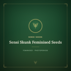 Sensi Skunk Feminised Seeds Sensi Skunk Feminised Seeds