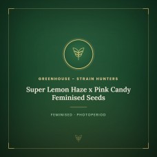 Super Lemon Haze x Pink Candy Feminised Seeds Super Lemon Haze x Pink Candy Feminised Seeds