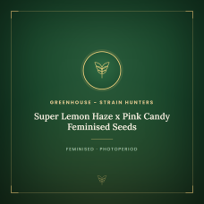 Super Lemon Haze x Pink Candy Feminised Seeds