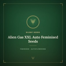 Alien Gas XXL Auto Feminised Seeds Alien Gas XXL Auto Feminised Seeds