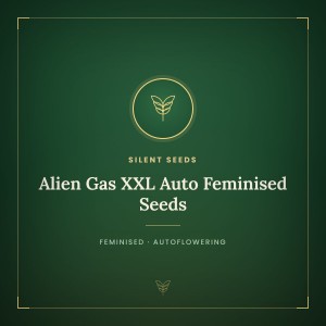 Alien Gas XXL Auto Feminised Seeds Alien Gas XXL Auto Feminised Seeds