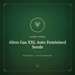 Alien Gas XXL Auto Feminised Seeds Alien Gas XXL Auto Feminised Seeds