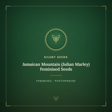 Jamaican Mountain (Julian Marley) Feminised Seeds
