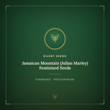 Jamaican Mountain (Julian Marley) Feminised Seeds Jamaican Mountain (Julian Marley) Feminised Seeds
