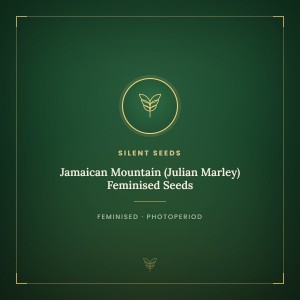 Jamaican Mountain (Julian Marley) Feminised Seeds Jamaican Mountain (Julian Marley) Feminised Seeds