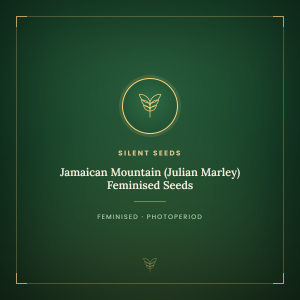 Jamaican Mountain (Julian Marley) Feminised Seeds Jamaican Mountain (Julian Marley) Feminised Seeds