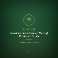 Jamaican Sunset (Julian Marley) Feminised Seeds