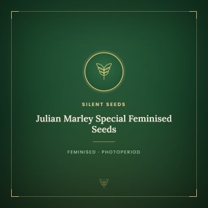 Julian Marley Special Feminised Seeds
