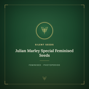 Julian Marley Special Feminised Seeds Julian Marley Special Feminised Seeds