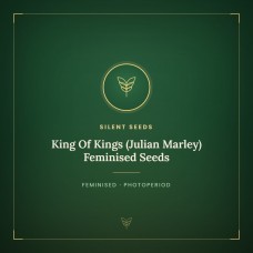 King Of Kings (Julian Marley) Feminised Seeds