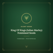 King Of Kings (Julian Marley) Feminised Seeds King Of Kings (Julian Marley) Feminised Seeds