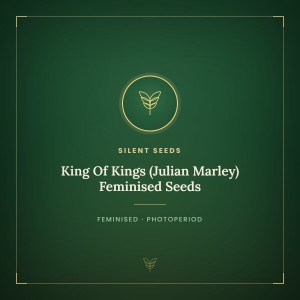 King Of Kings (Julian Marley) Feminised Seeds King Of Kings (Julian Marley) Feminised Seeds