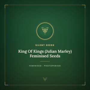 King Of Kings (Julian Marley) Feminised Seeds King Of Kings (Julian Marley) Feminised Seeds