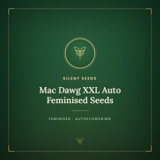 Mac Dawg XXL Auto Feminised Seeds Mac Dawg XXL Auto Feminised Seeds