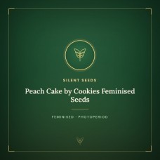 Peach Cake by Cookies Feminised Seeds