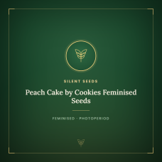 Peach Cake by Cookies Feminised Seeds Peach Cake by Cookies Feminised Seeds