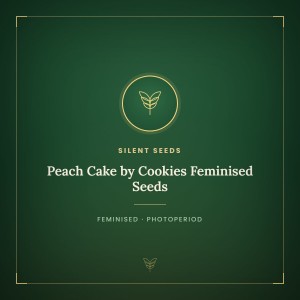 Peach Cake by Cookies Feminised Seeds Peach Cake by Cookies Feminised Seeds