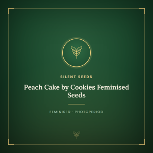 Peach Cake by Cookies Feminised Seeds Peach Cake by Cookies Feminised Seeds
