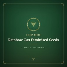 Rainbow Gas Feminised Seeds Rainbow Gas Feminised Seeds