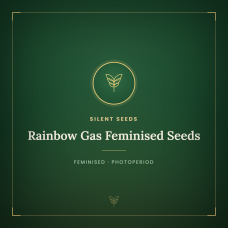 Rainbow Gas Feminised Seeds Rainbow Gas Feminised Seeds