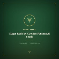 Sugar Rock by Cookies Feminised Seeds Sugar Rock by Cookies Feminised Seeds