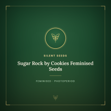 Sugar Rock by Cookies Feminised Seeds Sugar Rock by Cookies Feminised Seeds