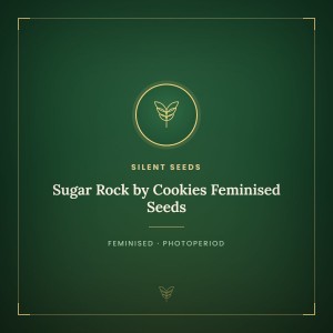 Sugar Rock by Cookies Feminised Seeds