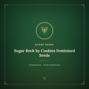 Sugar Rock by Cookies Feminised Seeds
