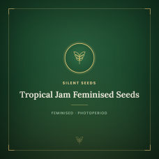 Tropical Jam Feminised Seeds Tropical Jam Feminised Seeds